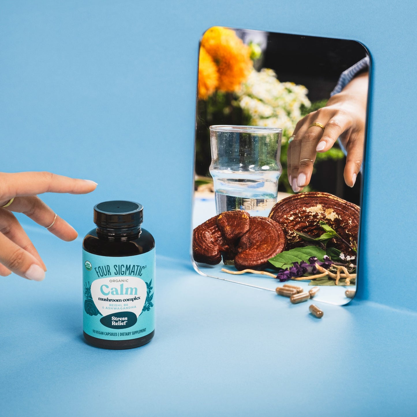 calm-capsules-l6 calm-capsule-1.jpg